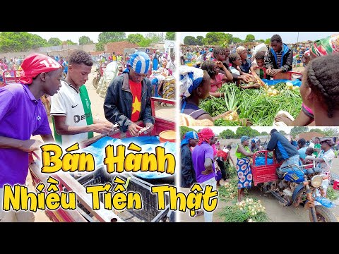 Bán Được NHIỀU TIỀN THẬT! Thu Nhập Khủng Từ Số Hành Khi Mang Ra Chợ! Khách Tranh Nhau Mua!