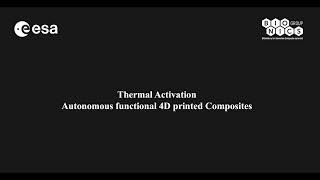 A step forward towards the application of 4D printing for structural morphing ! screenshot 1