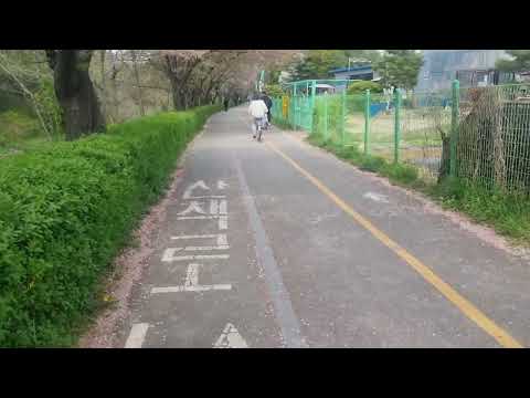 인천대공원 둘레길 #일상기록 #조깅#인천대공원 #걷기운동