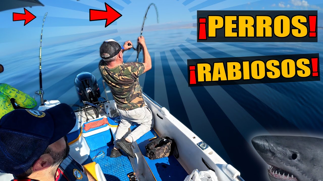 ¡PICADA DOBLE Pescando al Vivo! Increíble Combate con FINAL INESPERADO 🤯  - Jurel Ramon 180