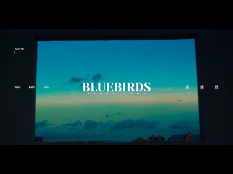 Bluebirds // Thái Kiện Nhã / Tanya Chua / 蔡健雅 // San Tưu // Vietsub + Pinyin
