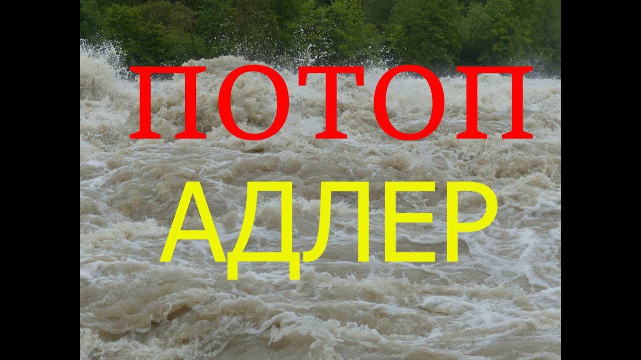 Забронировать машину адлер Забронировать машину адлер
