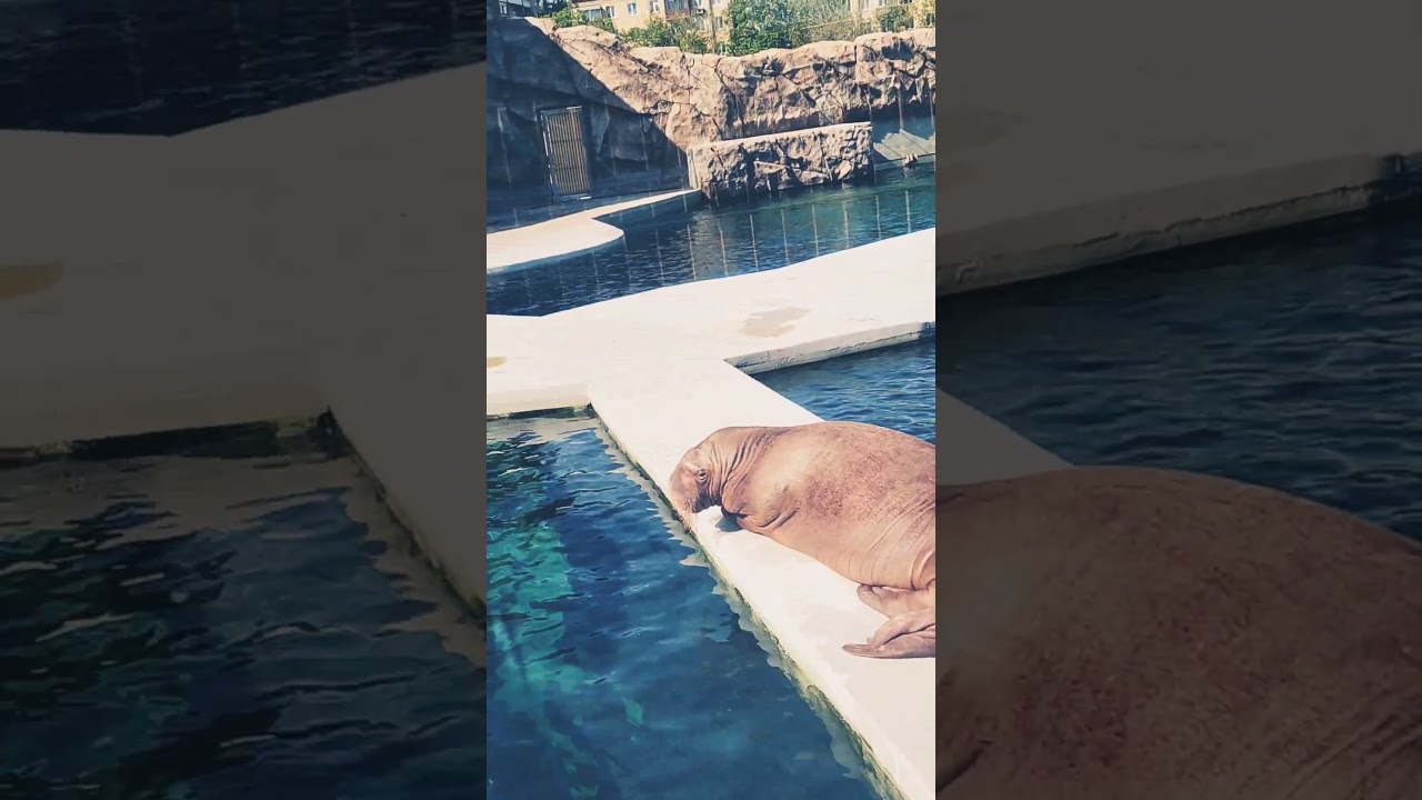 30 апреля 2024 г.