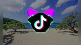 SUPER BASS Tiktok Viral - Nicki Minaj ( Dj Jif Remix )