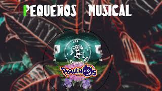 Tú No Necesitas a Carlo Karaoke Pequeños Musical