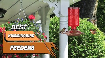 Top 5 Best Hummingbird Feeders Review in 2023 - On The Market Today