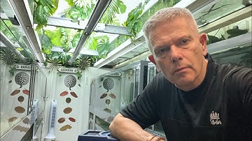 Here’s One For The Stingray Enthusiast!!!!!