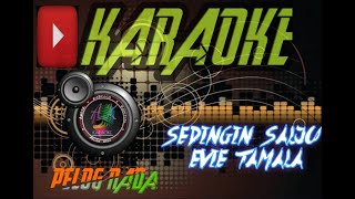 Karaoke Dangdut || Sedingin Salju || Evie Tamala cover korg pa 600