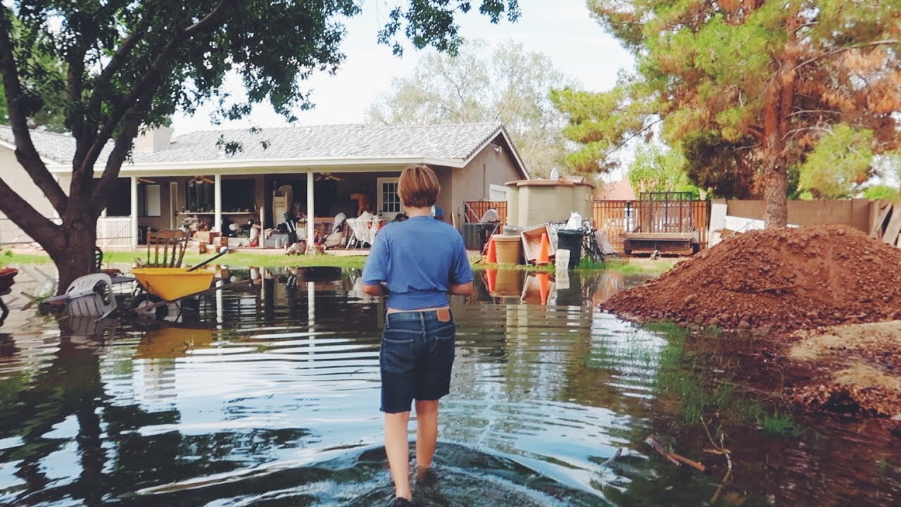 Farm Chores in the Flood 💦