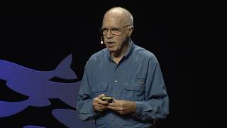 What you didn't know about bats | Merlin Tuttle | TEDxUTAustin Wealth