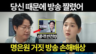 [언젠가는 슬기로울 전공의생활] 당신 때문에 방송 망했어. 명은원 손해배상 확정. 장영석의 분노