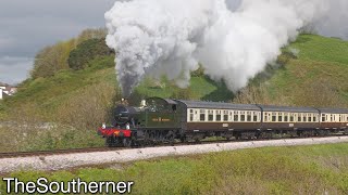 4555 on the English Riviera | Dartmouth Steam Railway 29/04/2023