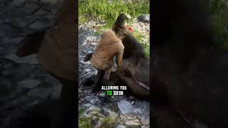 Did you know you can hunt the Legendary Bear TWICE in RDR2?