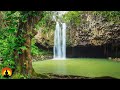 Sleep, Rain Sounds, Nature Sounds, Relaxation, Rain, Insomnia, Spa, Yoga, Zen, Relax, Study, ☯3622