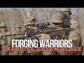 Adf  forging warriors  exercise green blaze