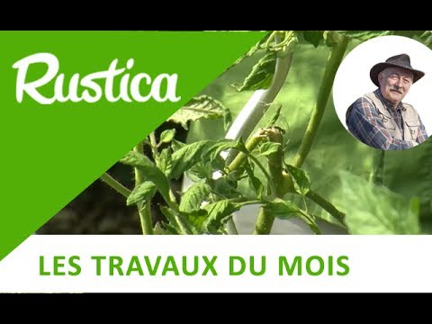 Vidéo: Le potager est envahi par la végétation : Réparer un potager négligé