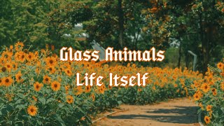 Life Itself ~ Glass Animals { sub español }