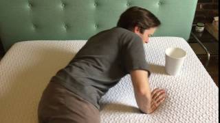 Endy Mattress Motion Transfer