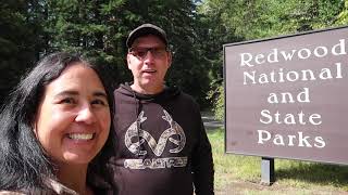 REDWOODS NATIONAL PARK