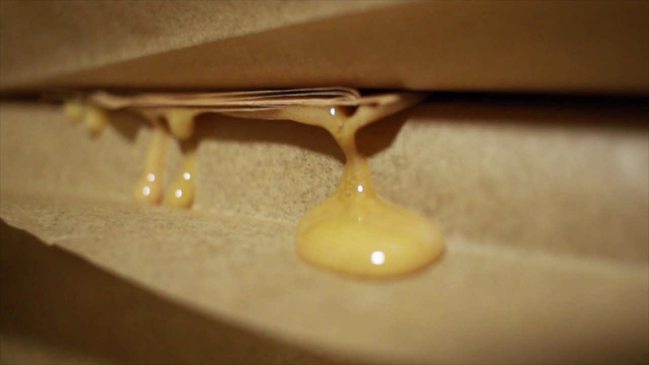 HQ LAB feat ROSINATOR