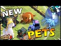 NEW Hero PETS at Town Hall 14!! Learn how to use the Pets in Clash of Clans!