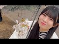 太陽と踊れ月夜に唄え「あぃまい大作戦」Music Video Sakura Edition🌸