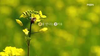 MBN ID영상 “봄을 만나는 즐거움”