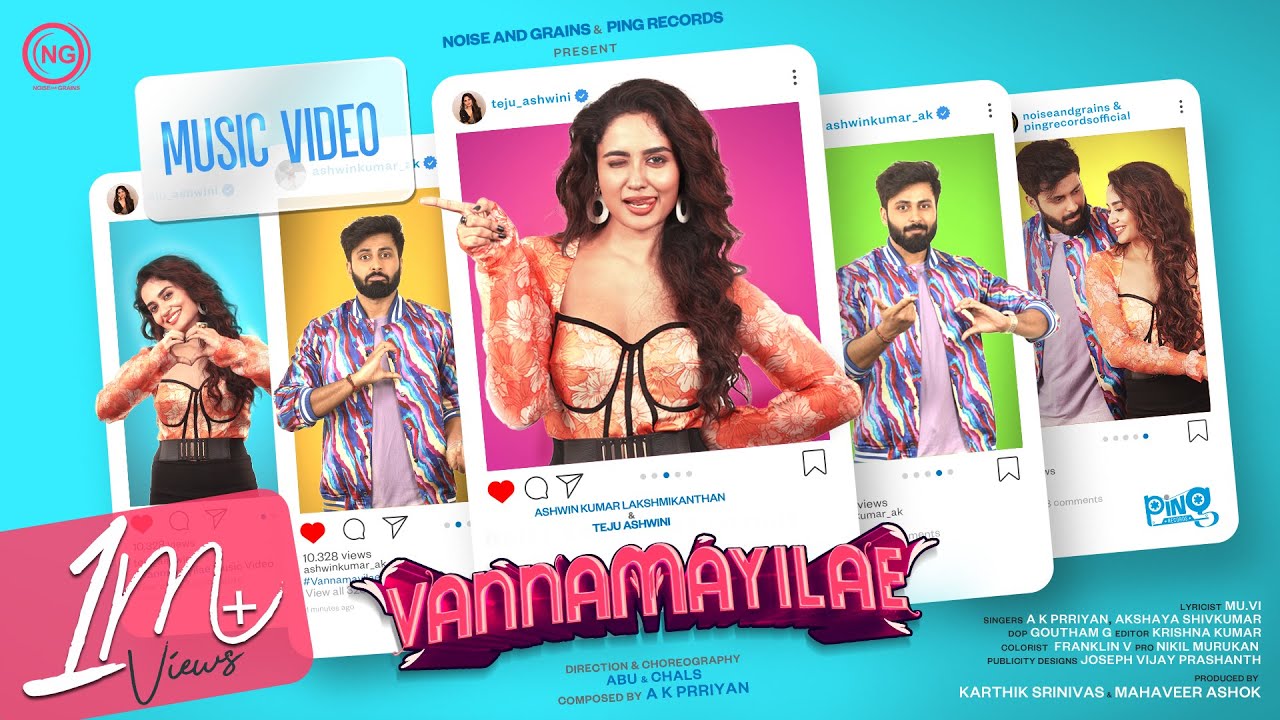 Vannamayilae  Music Video  ft Ashwin Kumar  Teju  AK Prriyan  Noise and Grains  Ping Records