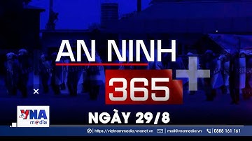Tạm giữ hình sự đối tượng chống người thi hành công vụ tại chốt bảo vệ A80 - An ninh 365+ - VNAMedia