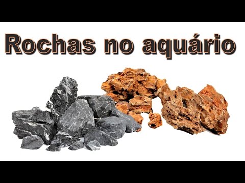 Vídeo: Rochas em aquários: um guia de peixes