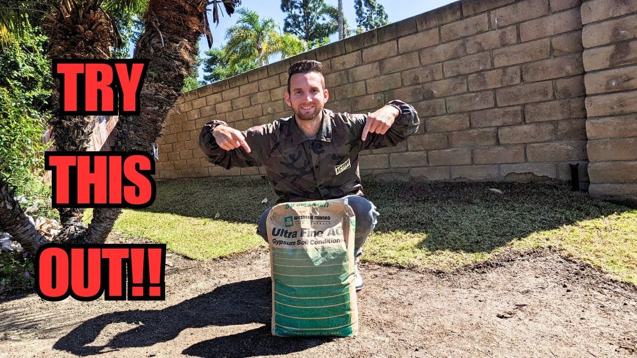 Got Hard Compacted Clay Soil?? YOU MUST TRY THIS!! - YouTube