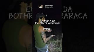 🐍🌿 “Em busca da braba: a jararaca! 👀🔥 | Parte 1Hoje a missão foi caminhar pela trilha procurando...