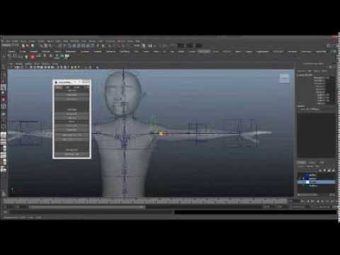 Auto Rig Script 1 0 almost