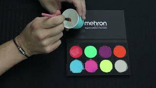 Mehron Paradise Makeup AQ 8 Color Palette – Off Broadway Vintage & Costumes