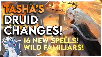 Getting Familiar with Druid! New Features from Tasha