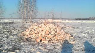 logging winter 2015 Stihl MS 440