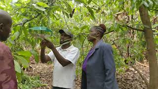 Is AI in smallholder agriculture just hype or a true game changer?