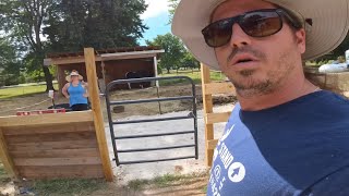 Resurfacing the horse paddock and annoying my girlfriend
