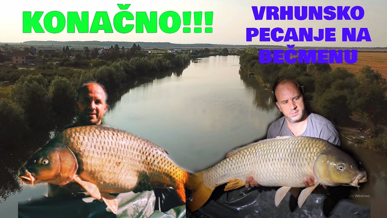 🐟💥KONAČNO!!! VRHUNSKO PECANjE NA BEČMENU💥🐟