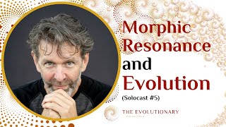 Morphic Resonance and Evolution (and how they are healing the world)
