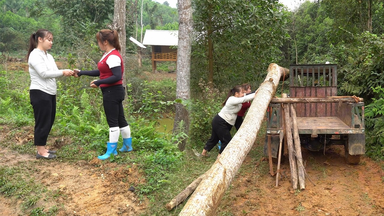 A Busy Day of a Single Mom, Selling a Tree Take Money to Build a Bathroom and Toilet