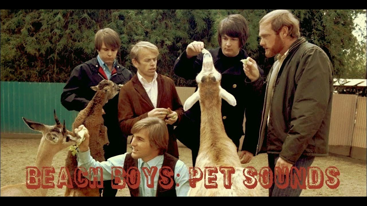 BEACH BOYS: PET SOUNDS. РЕВЬЮ, ОБЗОР CD