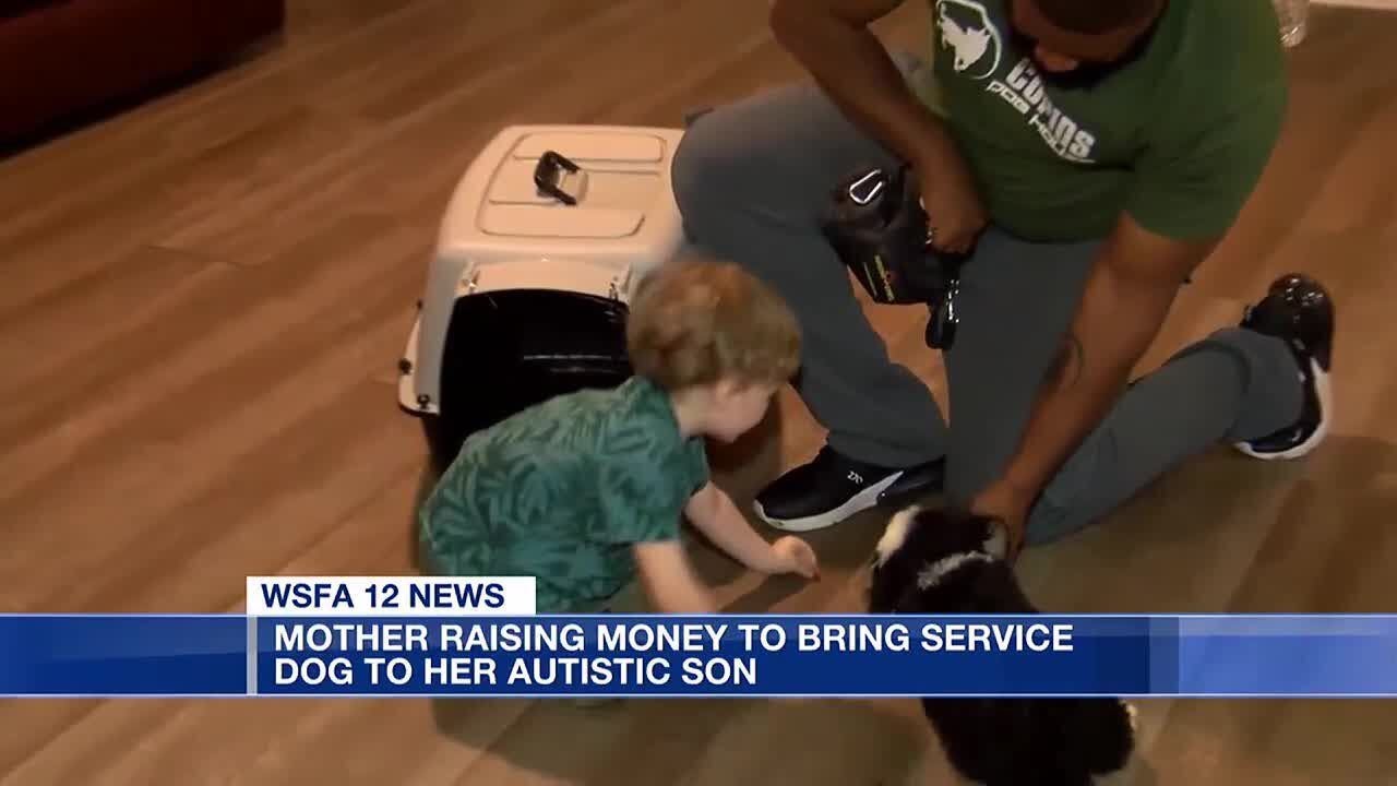 Alabama mom raising money for autistic son’s service dog