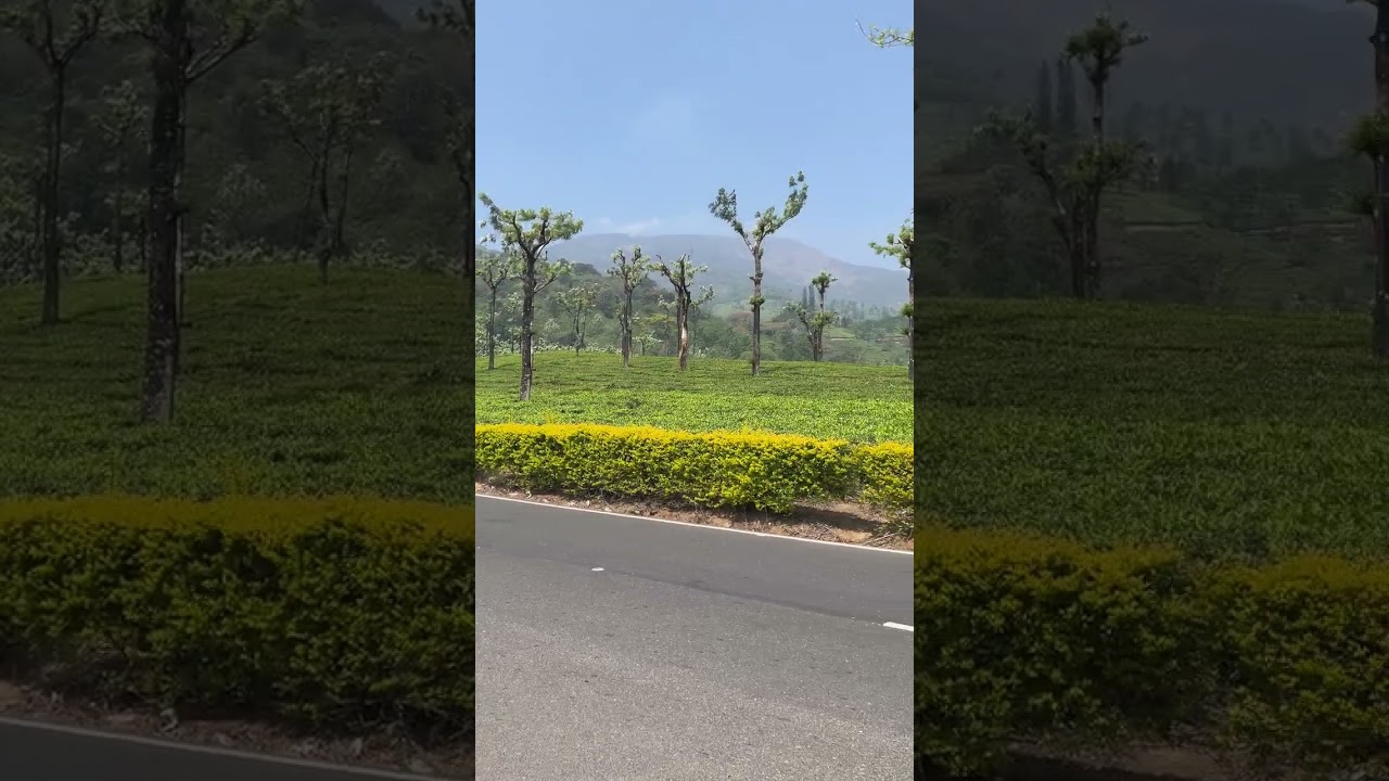 Valparai Waterfall Tea Estate