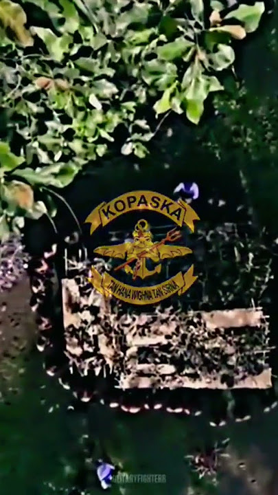 Latihan kopaska #specialforces #pasukanelitkhusus #tni #kopaska