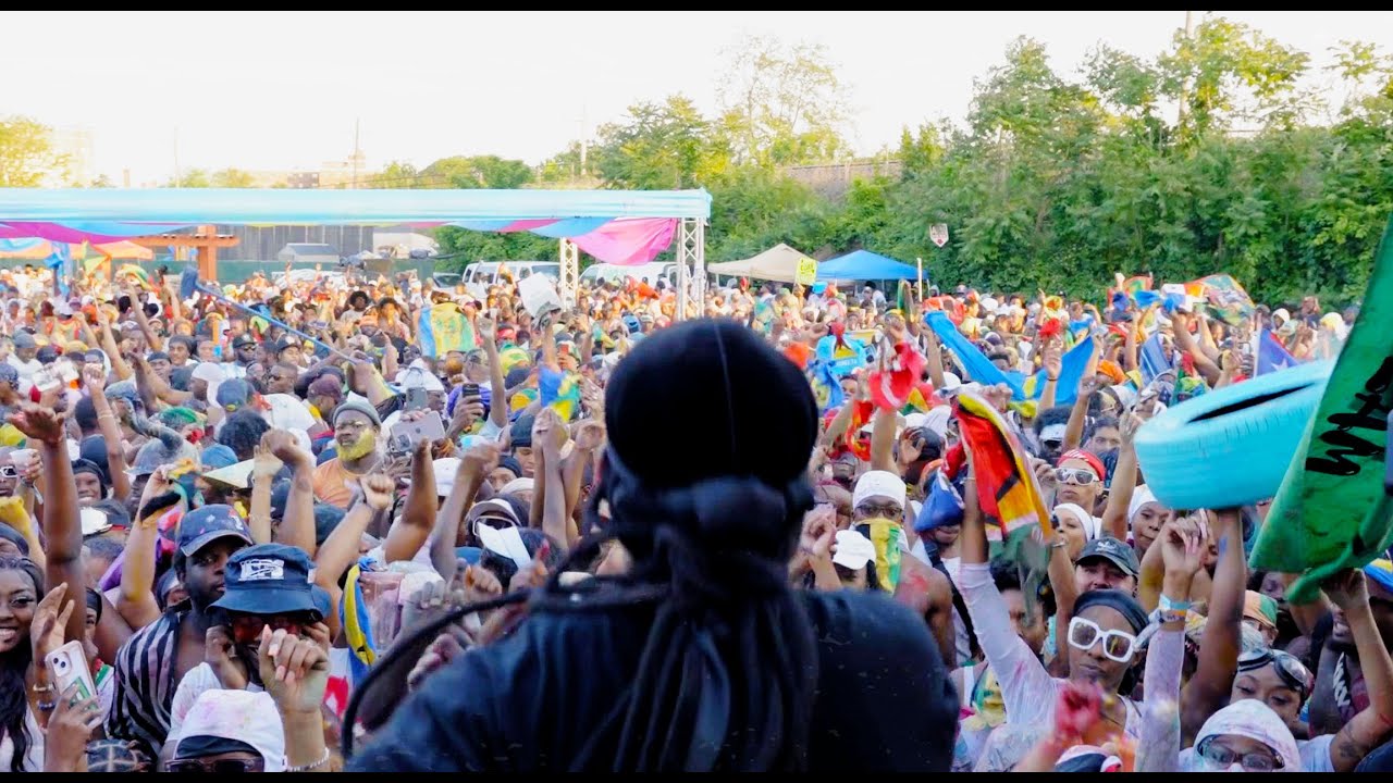 Problem Child -Dunce ( Visualizer ) The Festival of Fire Riddim