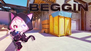 Beggin - Cs2 Montage