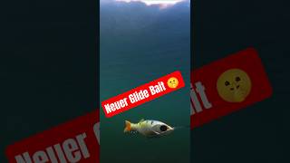 Doyio EYE CATCHER - neuer Glide Bait 🔥🐊🎣 #hecht #spinnfischen #kunstköder #hechtangeln #wobbler