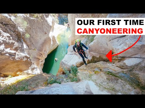 24 Hours of Crazy Non-Stop Action in Montenegro | This Week's Recap