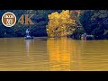 4K ボートで巡る秋の湖畔　Boat Journey through the Autumn Lakeside　Japanese scenery